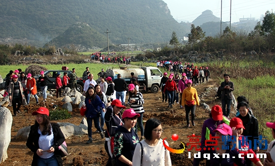女干部職工進(jìn)入植樹(shù)現(xiàn)場(chǎng)—溫紹杰 攝.jpg