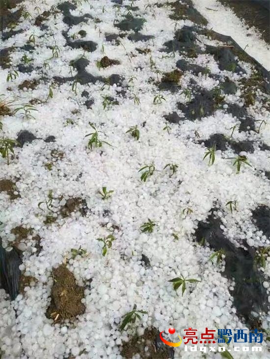未設(shè)炮站的義龍試驗區(qū)頂效.jpg