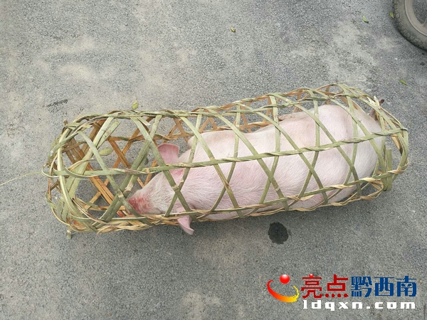 現(xiàn)場圖片 (5).jpg